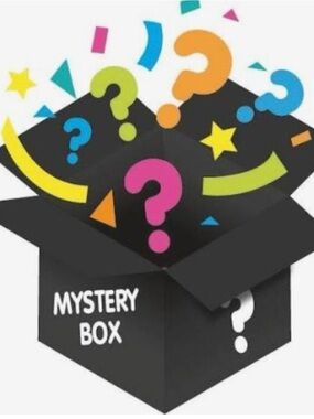 Mystery Box Surprise - Women’s size Large Clothing